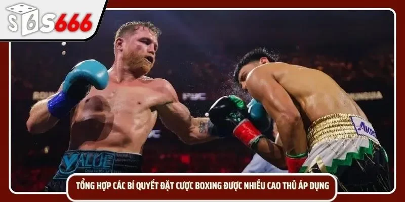 Kinh nghiệm tham gia Boxing S666 dễ dàng hơn