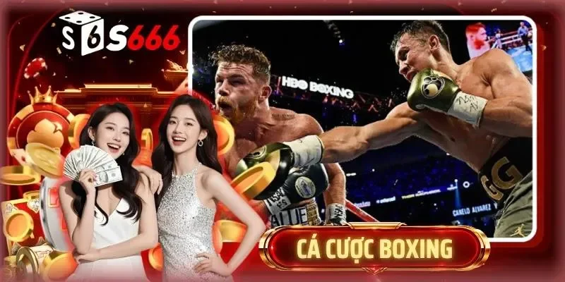 Cá cược Boxing