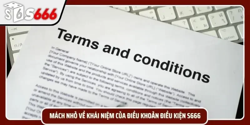 Tìm hiểu về điều khoản điều kiện S666 chuẩn nhất 2026