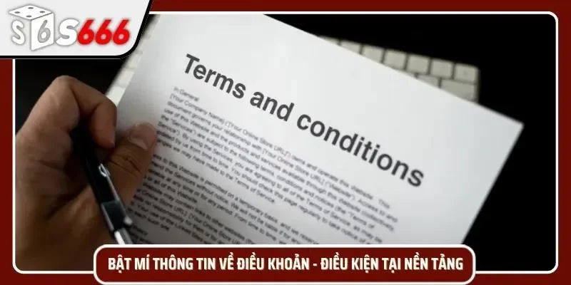 4 nội dung trong chính sách điều khoản điều kiện S666