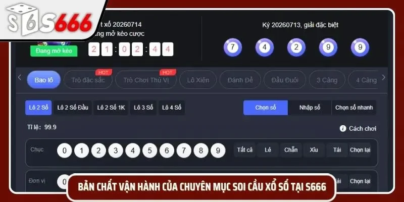 Khám phá bảng thống kê cầu số với chu kỳ xuất hiện cực chuẩn